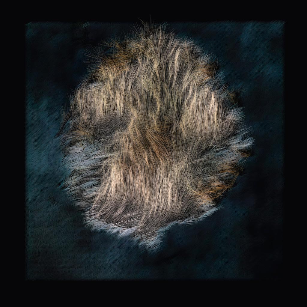 Dandelion (7), Learning Nature series AI artwork by David Young