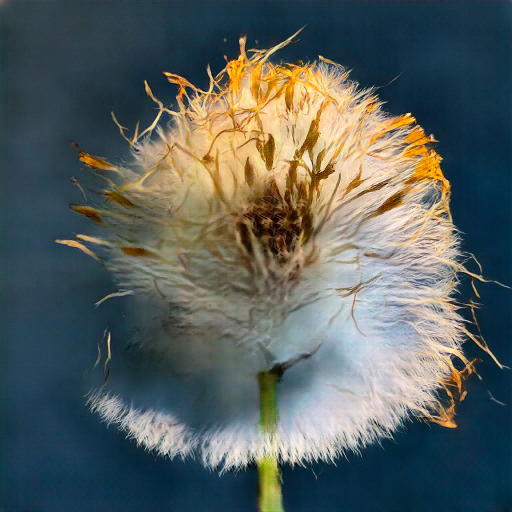 Dandelion (4), Learning Nature series AI artwork by David Young