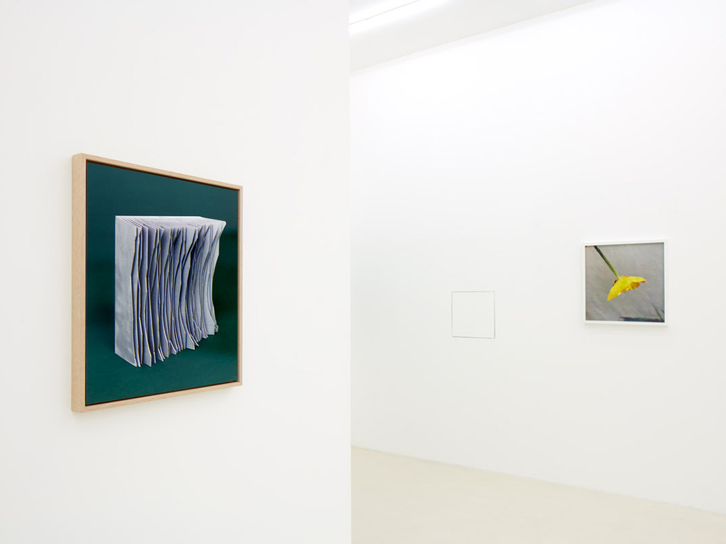 Exhibition view, 'darktaxa-project: the Frankfurt-constellation,' Schierke Seinecke, Frankfurt, 2020