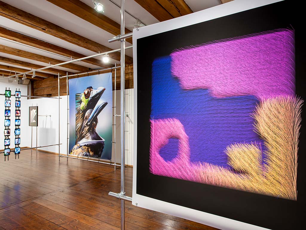 Exhibition view, 'darktaxa-project: the Regensburg constellation,' Photofestival Regensburg, 2023