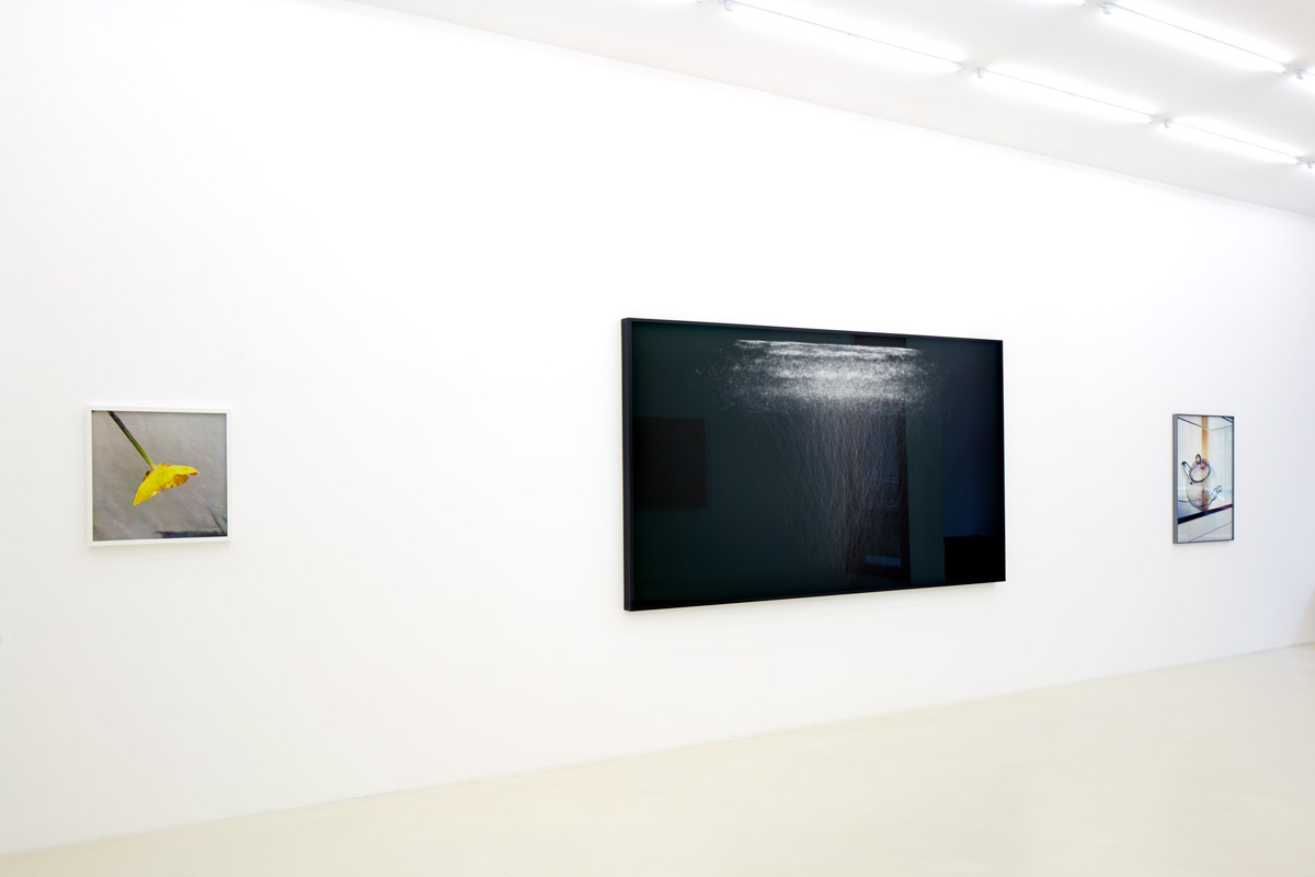 Frankfurt, Germany exhibition of Learning Nature, AI artwork by David Young