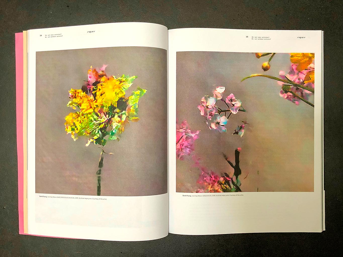 Learning Nature, AI artwork by David Young featured in Espace Magazine