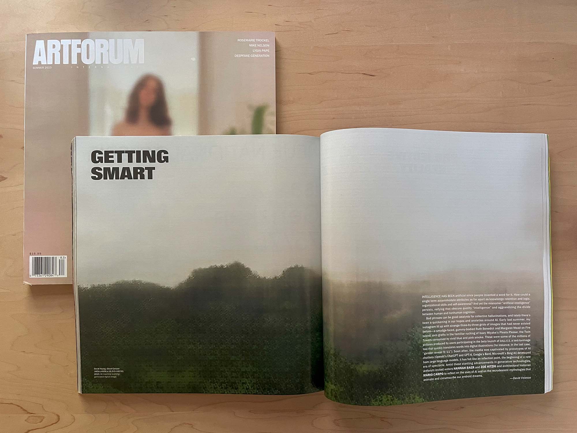Cloud Canyon, Learning Nature series AI artwork by David Young in Artforum magazine