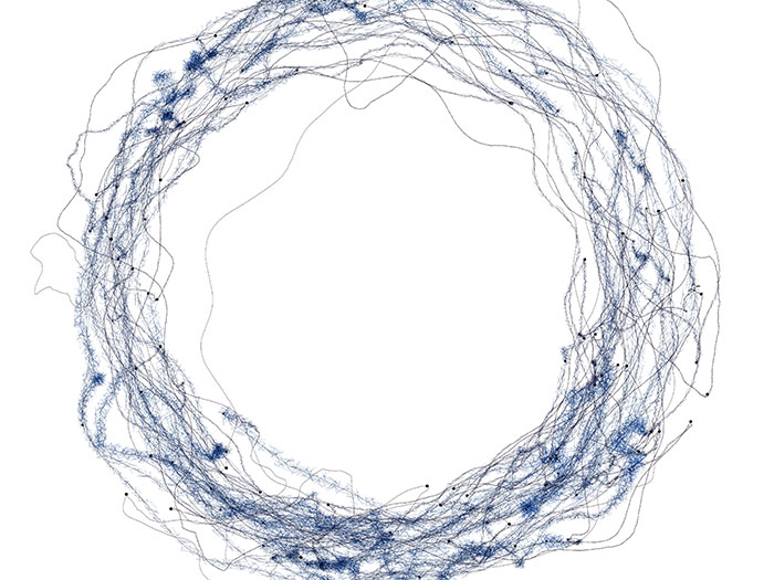 Suffering / Indifference