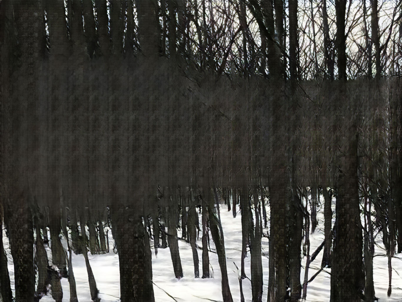 Winter Woods, AI artwork by David Young
