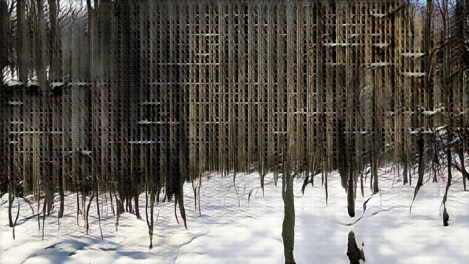 Winter Woods, AI artwork by David Young